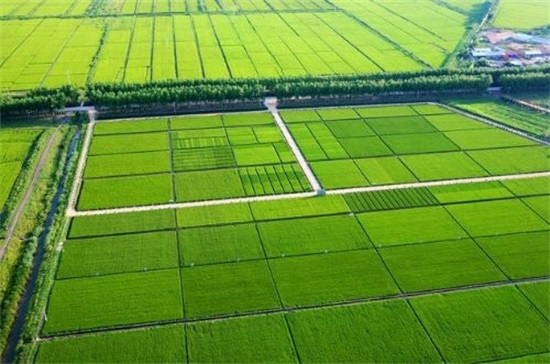 凤翔县2015年度高标准农田建设项目七标段